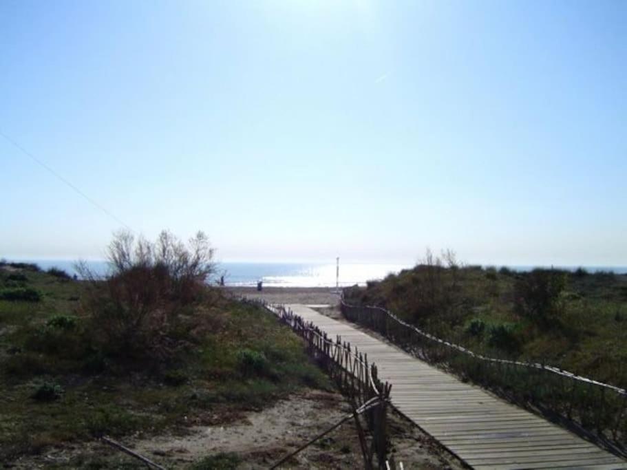 Canet De Berenguer Playa, Cerca De Valencia , Wifi, Smarttv 40" Canet d'En Berenguer Exterior foto